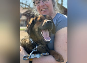 Fasirt ein hübscher junger Wonneproppen !