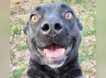 Füli möchte gerne Einzelprinzessin bei ihren Menschen sein !