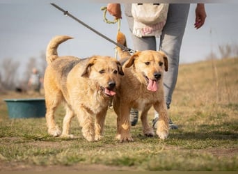 Plusz und Minusz, 2 Brüder, die gerne gemeinsam weiter durch das Leben gehen würden.