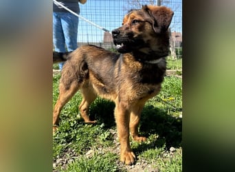 Fasirt ein hübscher junger Wonneproppen !