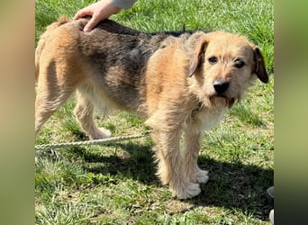 Plusz und Minusz, 2 Brüder, die gerne gemeinsam weiter durch das Leben gehen würden.