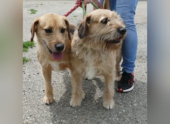 Plusz und Minusz, 2 Brüder, die gerne gemeinsam weiter durch das Leben gehen würden.