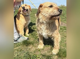 Plusz und Minusz, 2 Brüder, die gerne gemeinsam weiter durch das Leben gehen würden.