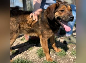 Fasirt ein hübscher junger Wonneproppen !