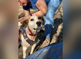 Der schöne Timo hat ein schlimmes Schicksal !