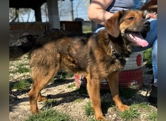 Fasirt ein hübscher junger Wonneproppen !