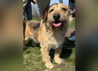 Plusz und Minusz, 2 Brüder, die gerne gemeinsam weiter durch das Leben gehen würden.