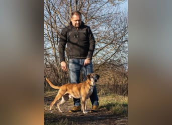 Jonas wurde von seinen Haltern alleine in einem Haus zurückgelassen