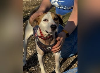 Der schöne Timo hat ein schlimmes Schicksal !