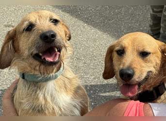 Plusz und Minusz, 2 Brüder, die gerne gemeinsam weiter durch das Leben gehen würden.