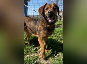 Fasirt ein hübscher junger Wonneproppen !