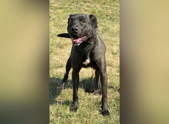 Füli möchte gerne Einzelprinzessin bei ihren Menschen sein !