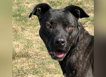 Füli möchte gerne Einzelprinzessin bei ihren Menschen sein !