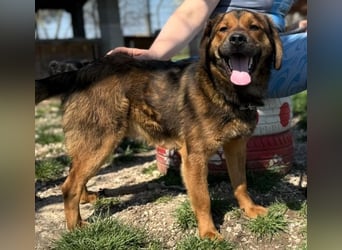 Fasirt ein hübscher junger Wonneproppen !