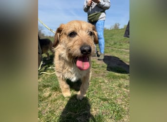 Plusz und Minusz, 2 Brüder, die gerne gemeinsam weiter durch das Leben gehen würden.