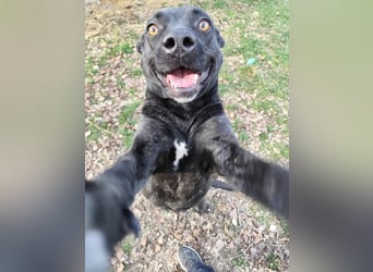 Füli möchte gerne Einzelprinzessin bei ihren Menschen sein !