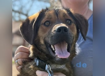 Fasirt ein hübscher junger Wonneproppen !