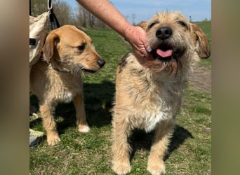 Plusz und Minusz, 2 Brüder, die gerne gemeinsam weiter durch das Leben gehen würden.