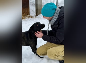 Füli möchte gerne Einzelprinzessin bei ihren Menschen sein !