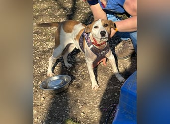 Der schöne Timo hat ein schlimmes Schicksal !