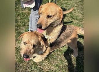 Plusz und Minusz, 2 Brüder, die gerne gemeinsam weiter durch das Leben gehen würden.