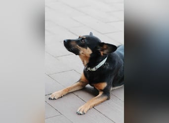 Verschmuste Michelle sucht ihre Familie