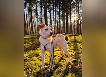 Monty, sportlich & intelligent