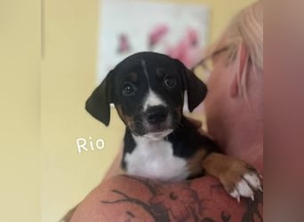 Rio (Spanien) - kleiner Sonnenschein für ihr Zuhause