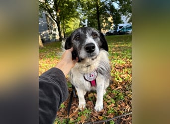 liebevolle Seniorin NESCHA