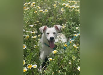 Linnea (Spanien) - unsere zarte Blume sucht ihr Glück