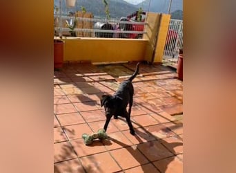 Winnie sucht eine Pflege- oder Endstelle