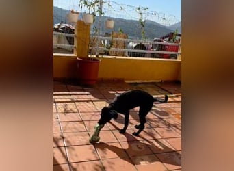 Winnie sucht eine Pflege- oder Endstelle