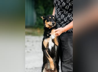 Fröhlicher Czar sucht seine Familie