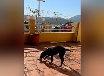 Winnie sucht eine Pflege- oder Endstelle