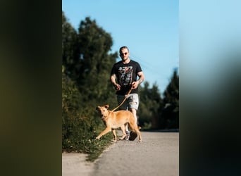 Wunderbare Dina sucht ihre Familie