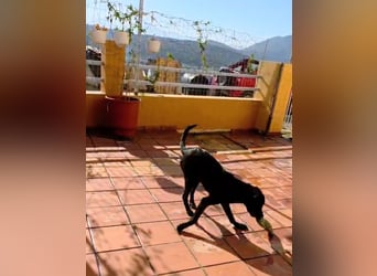Winnie sucht eine Pflege- oder Endstelle