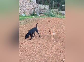Winnie sucht eine Pflege- oder Endstelle