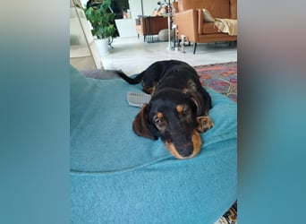 Fröhliche Sonja sucht ihre Menschen
