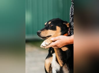 Fröhlicher Czar sucht seine Familie