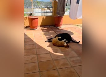 Winnie sucht eine Pflege- oder Endstelle