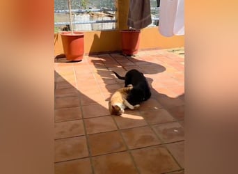 Winnie sucht eine Pflege- oder Endstelle