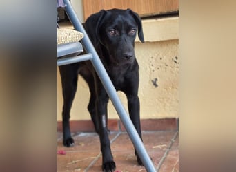 Winnie sucht eine Pflege- oder Endstelle