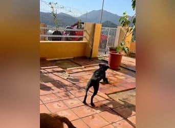 Winnie sucht eine Pflege- oder Endstelle