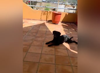 Winnie sucht eine Pflege- oder Endstelle