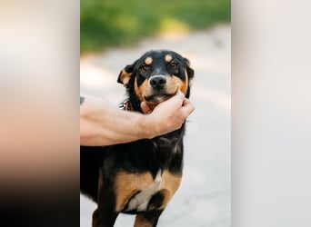 Fröhlicher Czar sucht seine Familie