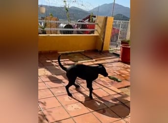 Winnie sucht eine Pflege- oder Endstelle