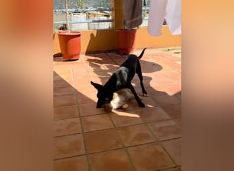 Winnie sucht eine Pflege- oder Endstelle