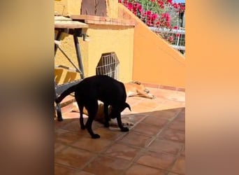 Winnie sucht eine Pflege- oder Endstelle