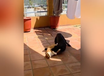 Winnie sucht eine Pflege- oder Endstelle