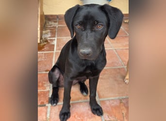 Winnie sucht eine Pflege- oder Endstelle